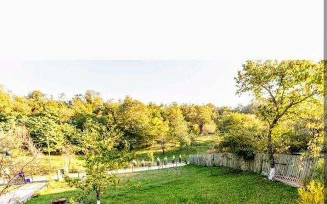 Mohti villa