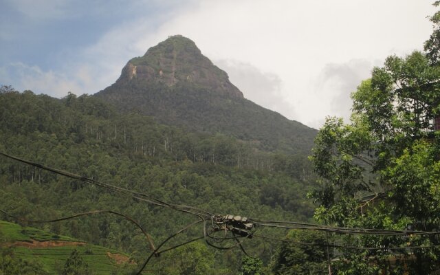 Slightly Chilled Yellow House