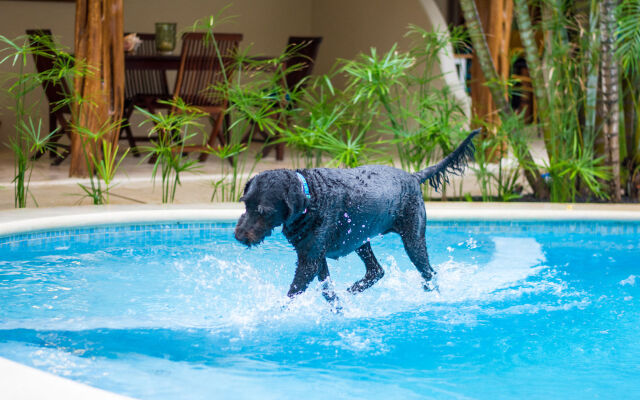 Ten North Tamarindo Beach Hotel