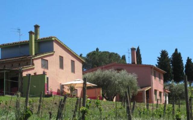 Conte Francesco I 231S