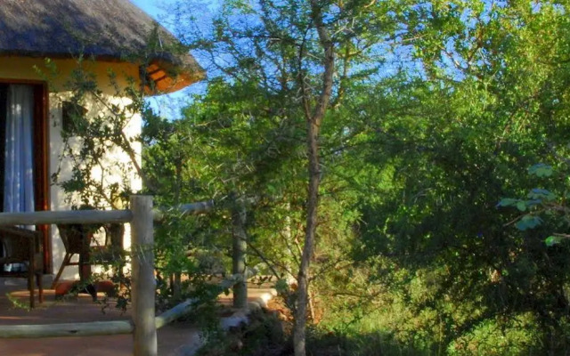 Mbizi Bush Lodge