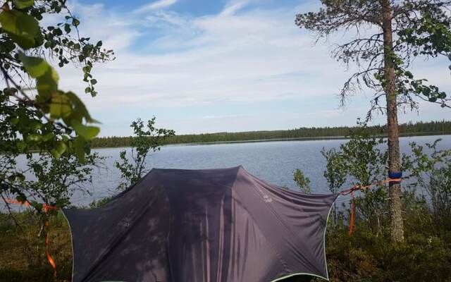 Metsä Kolo