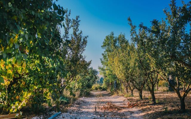 Tur Sinai Organic Farm Resort