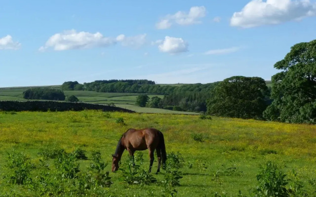 Shiers Farmhouse