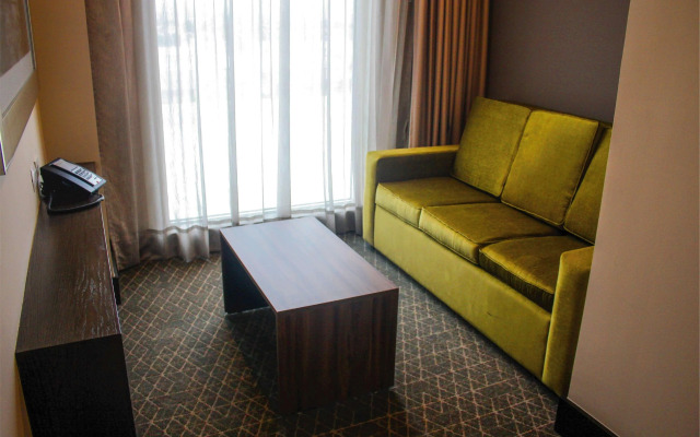 Hilton Garden Inn Aguascalientes
