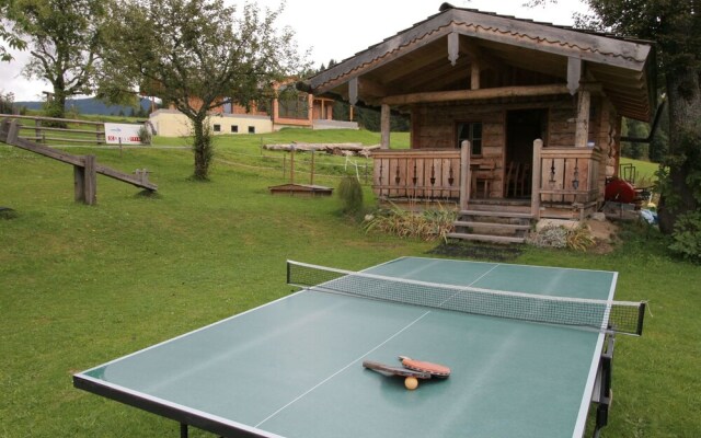 Cozy Cabin in Niedernfritz Near Ski Area