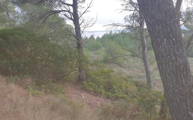 Hôtel Méditerranée