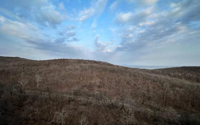 Апартаменты на Зеленом бульваре 25