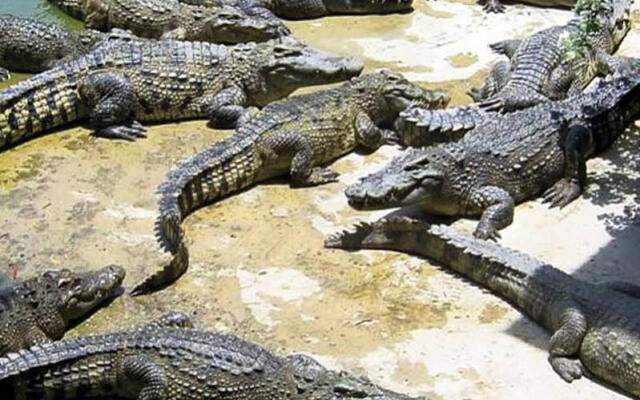 WH Hotel & Service Apartment