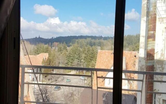 2 bedrooms appartement with city view at Ifrane