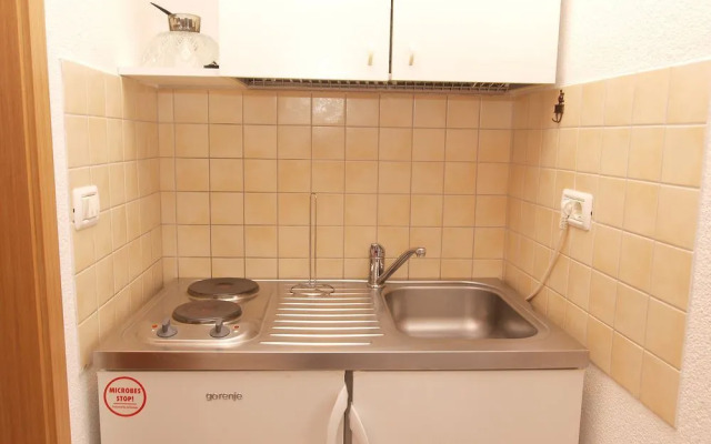 Apartment Mila 395