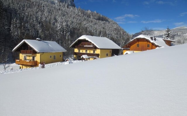 Bio-Bauernhof Vordergrubenbach - Familie Oberascher
