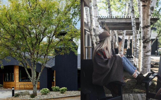 Tälta Lodge, A Bluebird by Lark