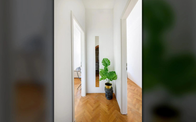 Stylish Homes Downtown Buda