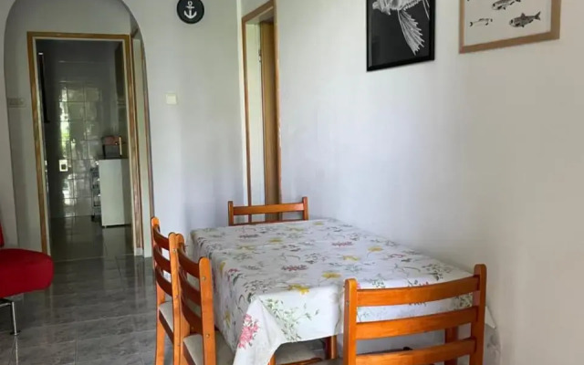 Pag Vlasici