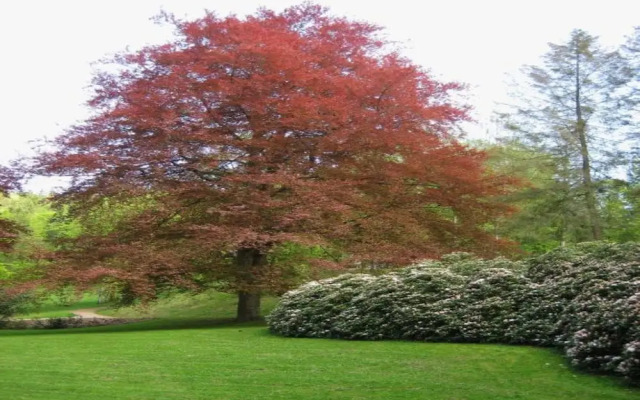 Stylish Apartment in Sohl With Terrace