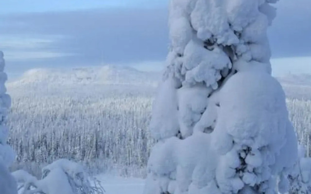 Rukaj Rven Kelopirtit Hilla Kuusamo