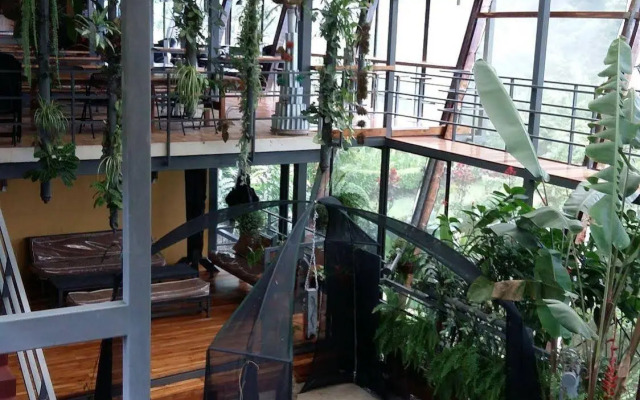 Celeste Mountain Lodge