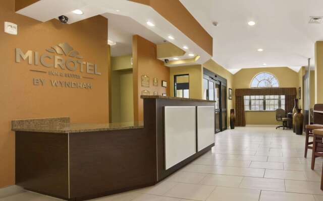 Microtel Inn & Suites by Wyndham Buda Austin South