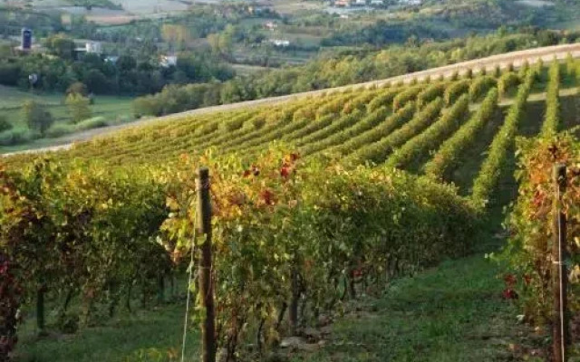 La Commedia Della Pentola