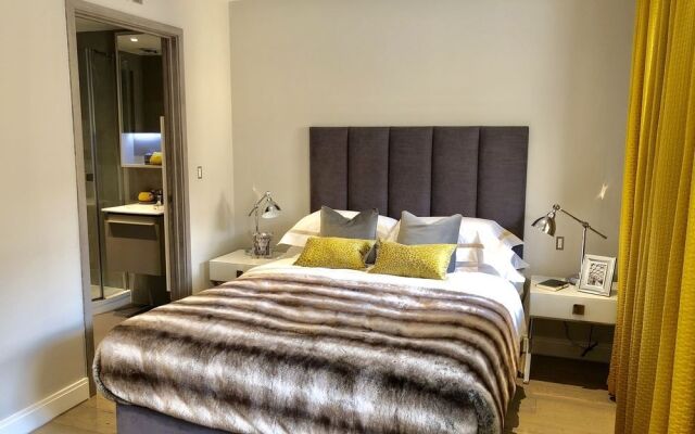 Lux St James Park Apartment Central London FREE WIFI by City Stay Aparts London