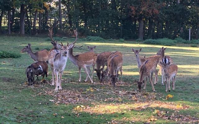 Familienhof Brï¿½ning