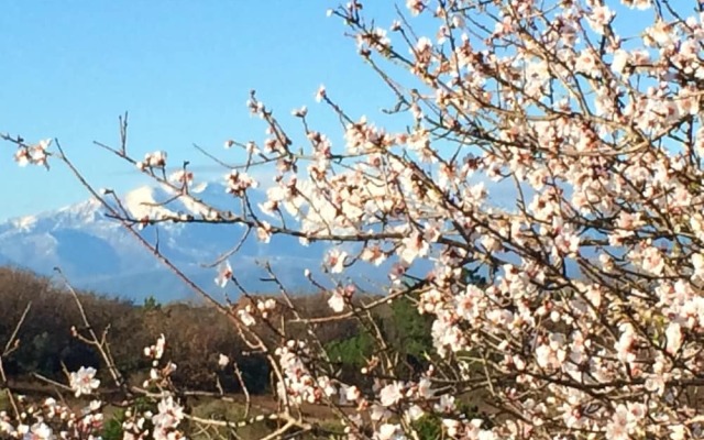 Apartment With one Bedroom in Canet-en-roussillon