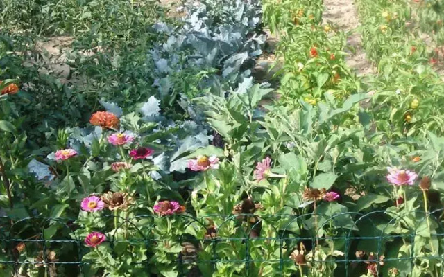 Rooms Family Farm Toma