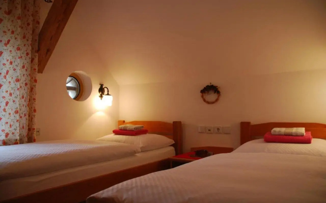 Farm Stay Rotovnik - Plesnik