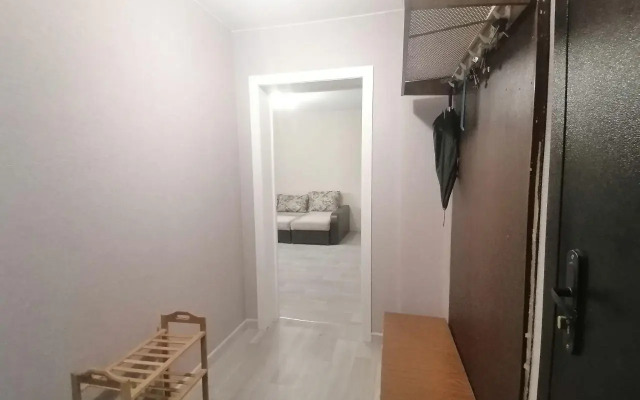 Апартаменты на улице Вяземская