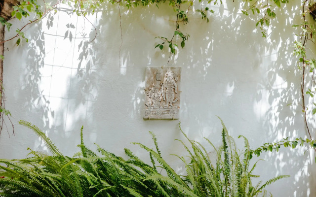Casa Quetzal