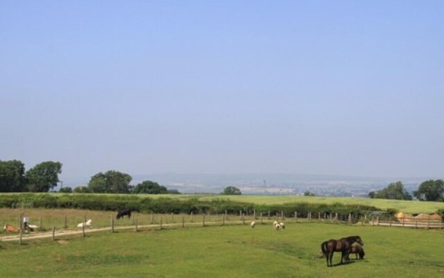 Lily Hill Farm
