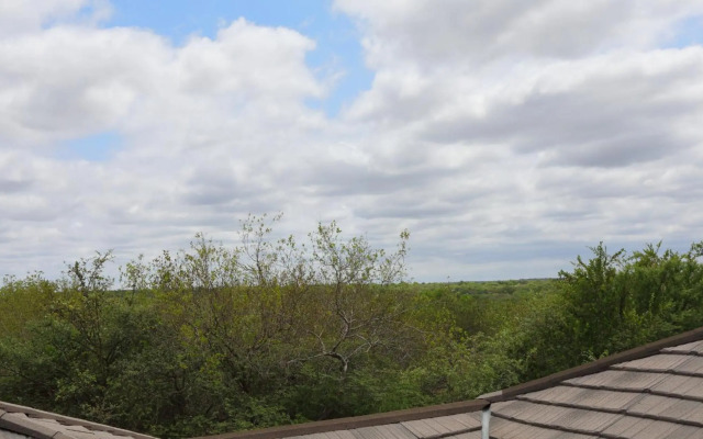 Oasis in the Wild @Marloth