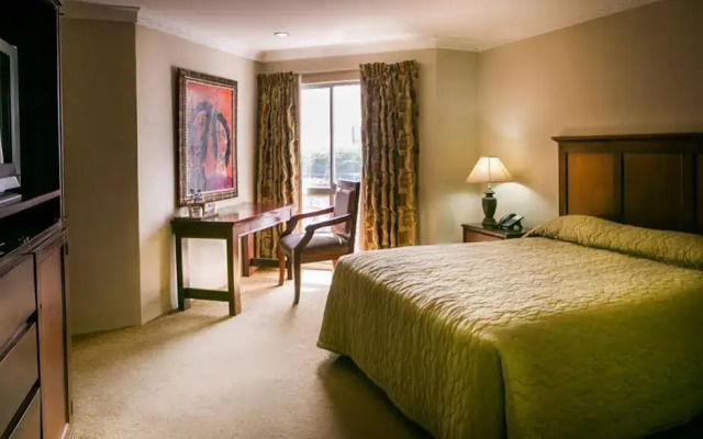 The Citi Inn