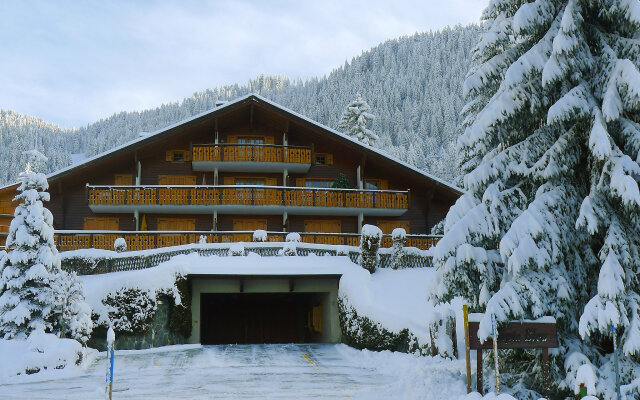 Sapin Bleu 5