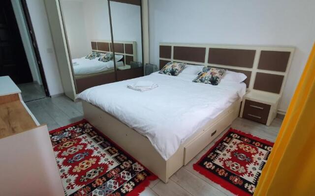 Nehoiu apartament