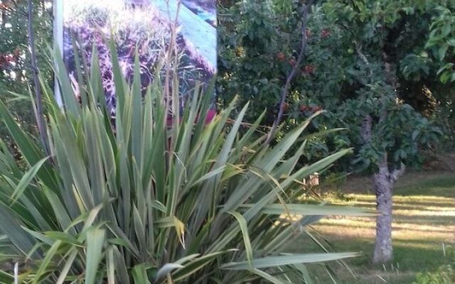 Albergue - Pensión Camiño das Ocas - Hostel