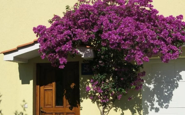 Šmuketa in Trogir Haus für 4 Personen
