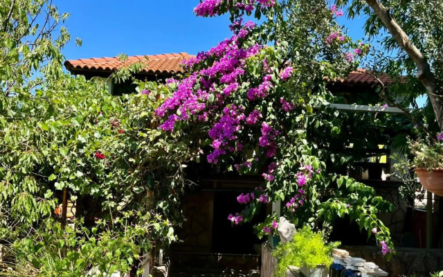 Studio apartment Gorana