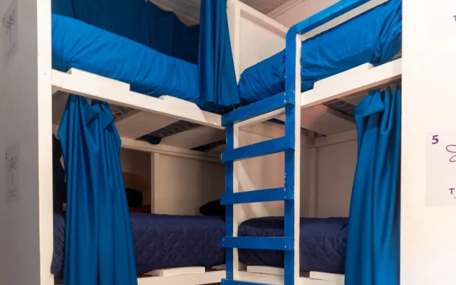 Camazotz Hostel