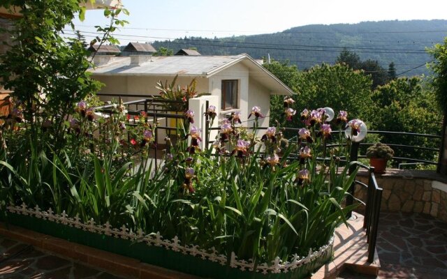 Tora Bora Guest House