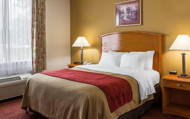 Comfort Inn & Suites Chesapeake - Portsmouth