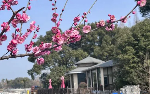 Sinopec Shanghai Conference Center – Outside – Shanghai