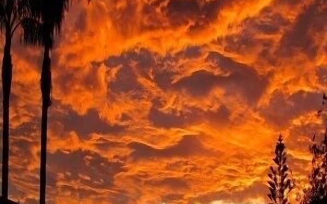 Merimbula Beach Apartments