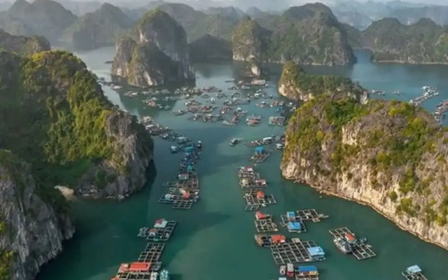 Verdure Lotus Classic Cruise on Lan Ha Bay