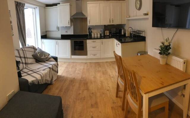 Victorian Garden Apartment in Brixton