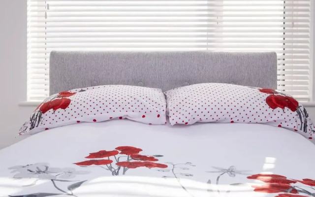 Host Stay Wilson Studio