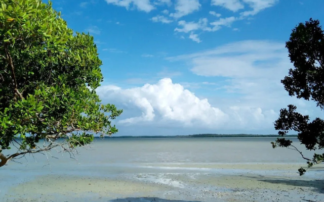 Mida Creek Eco Camp