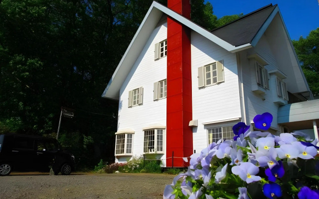 Pension White Clover