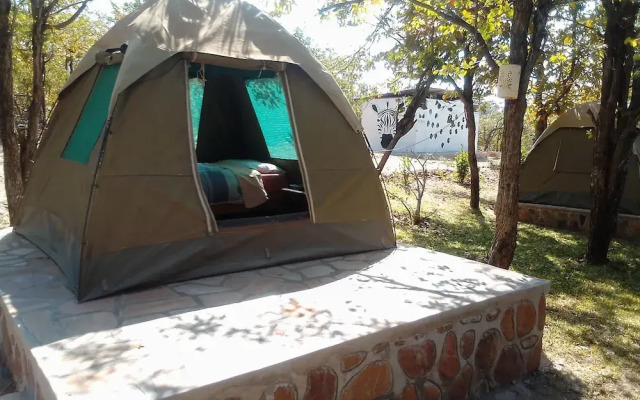 Warthogs Safari Camp